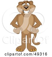 Poster, Art Print Of Cougar Mascot Character With His Hands On His Hips