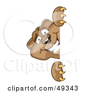 Royalty Free RF Clipart Illustration Of A Cougar Mascot Character Looking Around A Corner by Toons4Biz