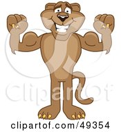 Royalty Free RF Clipart Illustration Of A Cougar Mascot Character Flexing