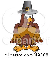Poster, Art Print Of Falcon Mascot Character Wearing A Pilgrim Hat