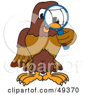 Falcon Mascot Character Using A Magnifying Glass