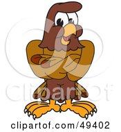 Poster, Art Print Of Falcon Mascot Character With His Arms Crossed