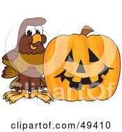 Poster, Art Print Of Falcon Mascot Character With A Pumpkin