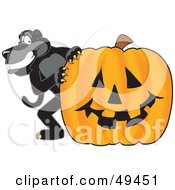 Black Jaguar Mascot Character With A Halloween Pumpkin