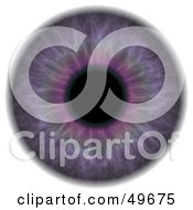 Royalty Free RF Clipart Illustration Of A Purple Eyeball On White by Arena Creative
