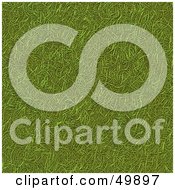 Royalty Free RF Clipart Illustration Of A Textured Green Grass Background by Arena Creative