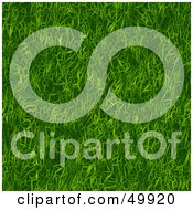 Poster, Art Print Of Seamless Green Grass Texture