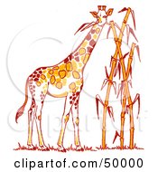 Poster, Art Print Of Tall Giraffe Munching On Leaves Of Tall Bamboo Stalks