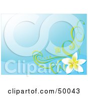 Royalty Free RF Clipart Illustration Of A Blue Background With A Plumeria Flower Corner Accent