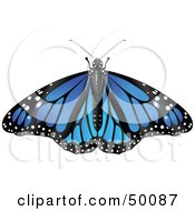 Royalty Free RF Clipart Illustration Of A Spanned Blue Monarch Butterfly