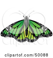 Royalty Free RF Clipart Illustration Of A Spanned Green Monarch Butterfly