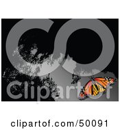 Poster, Art Print Of Monarch Butterfly On A Reflective Gray And Black Surface