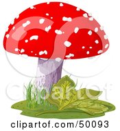Royalty Free RF Clipart Illustration Of A Red And White Spotted Amanita Muscaria Mushroom