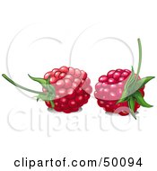 Two Ripe Red Raspberries With Stems