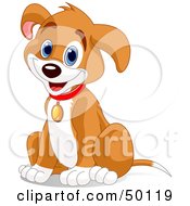 Poster, Art Print Of Hyper Puppy Dog Sitting And Wearing A Collar