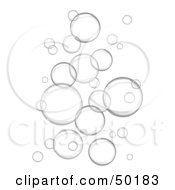 Poster, Art Print Of Background Of Floating Gray Bubbles