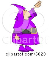 Man Wearing A Purple Wizard Costume On Halloween