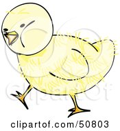Poster, Art Print Of Fluffy Yellow Spring Chick - Version 7