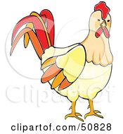 Poster, Art Print Of Curious Rooster