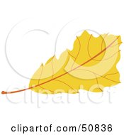 Poster, Art Print Of Autumn Leaf - Version 6