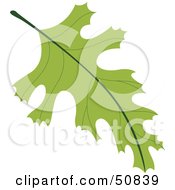 Poster, Art Print Of Autumn Leaf - Version 3