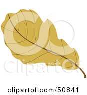 Poster, Art Print Of Autumn Leaf - Version 2