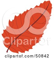 Poster, Art Print Of Autumn Leaf - Version 4