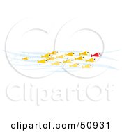 Poster, Art Print Of Crowd Of Swimming Goldfish