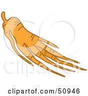 Royalty Free RF Clipart Illustration Of Ginseng Roots by Cherie Reve