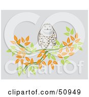 Poster, Art Print Of Chubby Owl Perched On A Branch Of Autumn Leaves