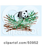 Poster, Art Print Of Giant Panda Sleeping In Bamboo