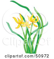 Royalty Free RF Clipart Illustration Of A Plant With Yellow Flower Blooms Version 2