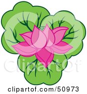 Poster, Art Print Of Blooming Pink Water Lily On Green
