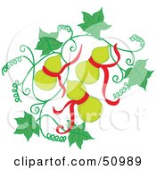 Poster, Art Print Of Green Oriental Fruit With Red Ribbons On A Vine