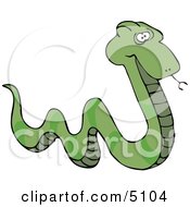 Green Patterned Snake Tasting The Air With Its Tongue