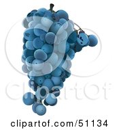 Royalty Free RF Clipart Illustration Of A Cluster Of Blue Grapes
