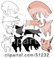 Poster, Art Print Of Digital Collage Of Pigs In Color Outlines And Silhouettes - Version 4