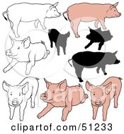 Poster, Art Print Of Digital Collage Of Pigs In Color Outlines And Silhouettes - Version 5