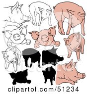 Poster, Art Print Of Digital Collage Of Pigs In Color Outlines And Silhouettes - Version 7