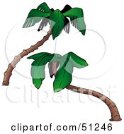 Royalty Free RF Clipart Illustration Of A Coconut Palm Tree Version 5