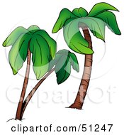 Royalty Free RF Clipart Illustration Of A Coconut Palm Tree Version 9