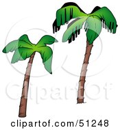 Royalty Free RF Clipart Illustration Of A Coconut Palm Tree Version 10