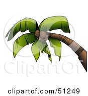 Poster, Art Print Of Coconut Palm Tree - Version 1