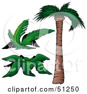 Royalty Free RF Clipart Illustration Of A Coconut Palm Tree Version 6