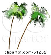 Royalty Free RF Clipart Illustration Of A Coconut Palm Tree Version 8