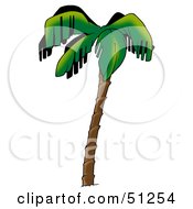 Royalty Free RF Clipart Illustration Of A Coconut Palm Tree Version 4