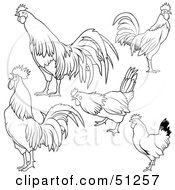 Poster, Art Print Of Digital Collage Of Rooster Outlines - Version 3