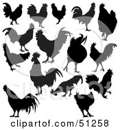Poster, Art Print Of Digital Collage Of Rooster Silhouettes