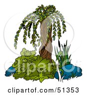 Poster, Art Print Of Small Weeping Willow