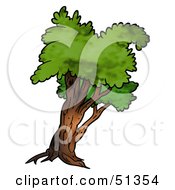 Poster, Art Print Of Tree With Gree Foliage - Version 10